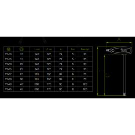 LLAVE T TORX RUCCI